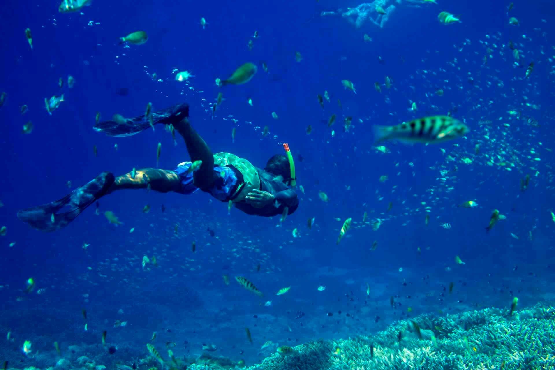 Mastering Tomorrow: A Deep Dive into Forecasting and Demand Planning