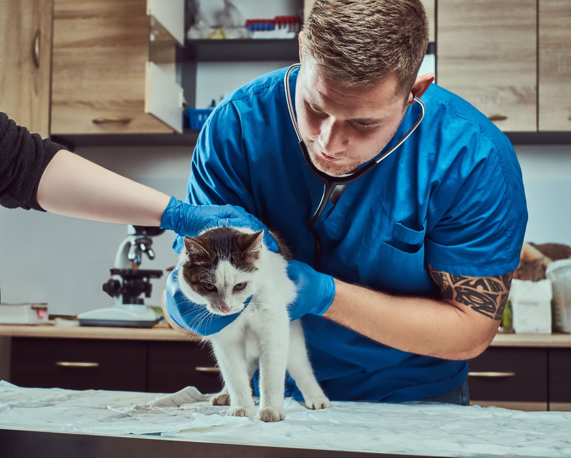 National Veterinary Technician Week
