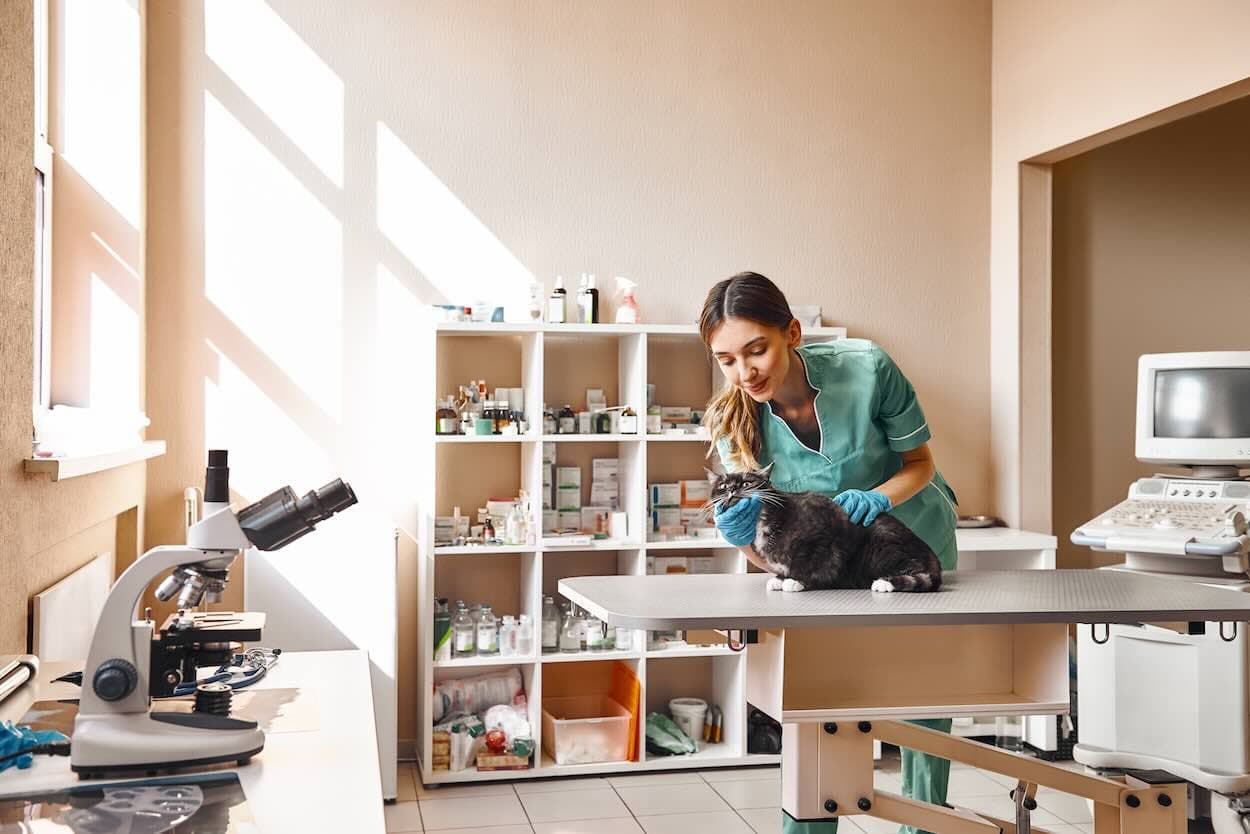 Veterinary clinic inventory management